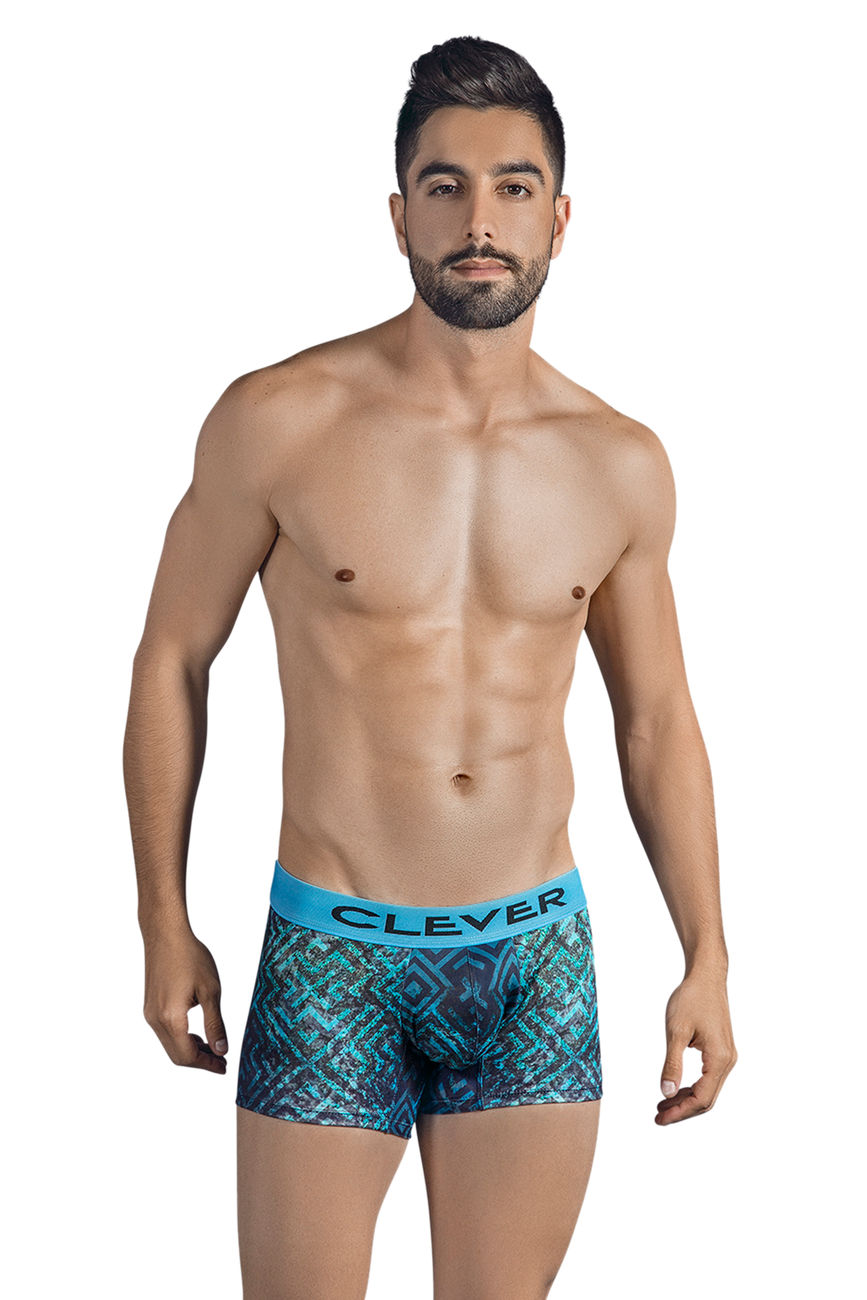 Labyrinth Premium Boxer Briefs