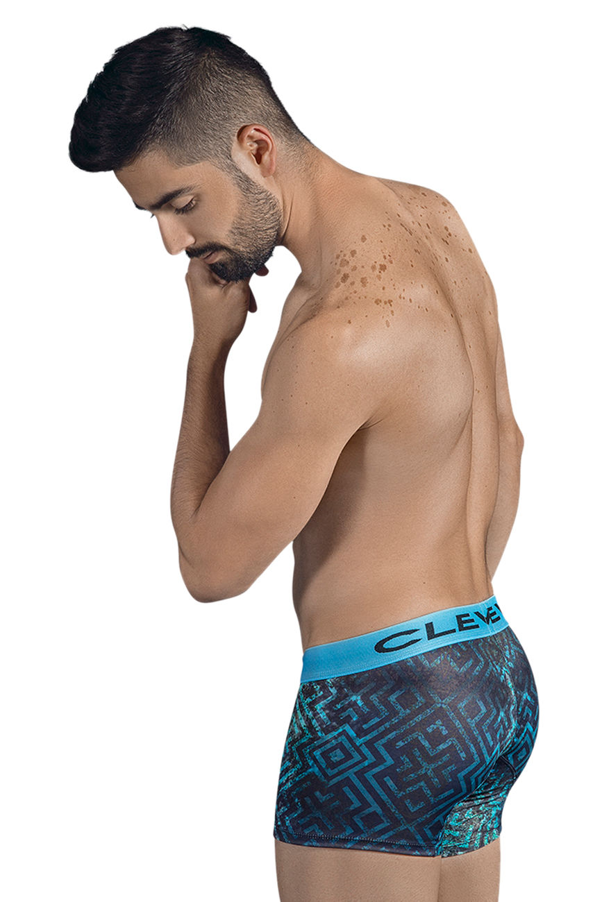 Labyrinth Premium Boxer Briefs