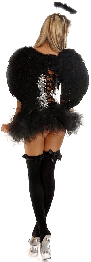Sequin Dark Angel 4 Piece Costume